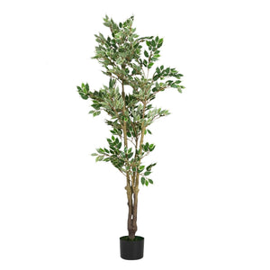 English Elm Christopher Knight Home® - 69" Artificial Ficus Tree with Lifelike Glossy Leaves, Twisted Trunk, Pre-Potted Black Pot, 69" N772P286768G