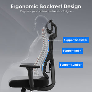 English Elm Ergonomic Mesh Office Chair With Adjustable Headrest & Lumbar Support For Ultimate Comfort & Style T3623P380750