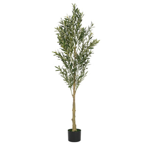 English Elm Christopher Knight Home® - 6' Olive Tree Faux Plant with Pre-Potted Black Plastic Base, Lifelike Leaves, Low Maintenance Décor Green N772P286766G