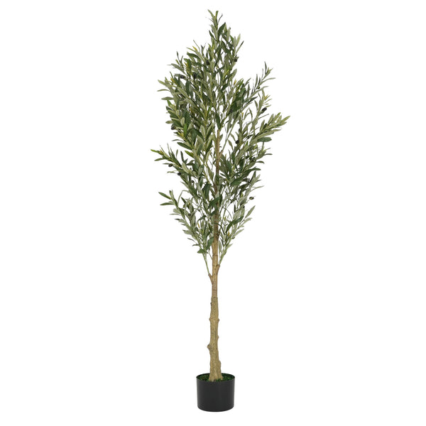 English Elm Christopher Knight Home® - 6' Olive Tree Faux Plant with Pre-Potted Black Plastic Base, Lifelike Leaves, Low Maintenance Décor Green N772P286766G