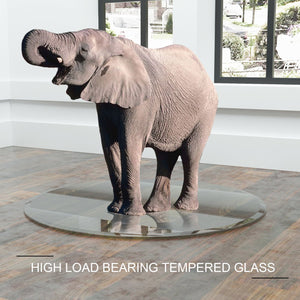 English Elm 36" Round Tempered Glass Table Top - Elegant, Durable, Beveled Edge For Home & Office Use, 2/5" Thick W241P248443