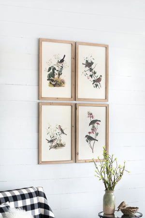 English Elm S/4 Bird Framed Print Set with Brown Fir Wood Frames, Four Nature Bird Artworks for Transitional Decor W2078P205314