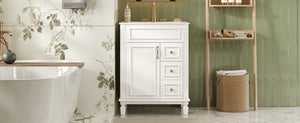 English Elm 24" Bathroom Vanity With Elegant Ceramic Sink, Stylish Storage, And Timeless French Design For Small Spaces N710P318989K