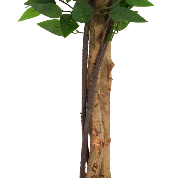 English Elm Christopher Knight Home® - 63" Artificial Ficus Tree with Twisted Trunk in Black Pot — Lifelike Green Foliage, Pre-Potted, Low-Maintenance Décor N772P286773G