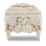 Boardwalk White Shell Jewelry Box