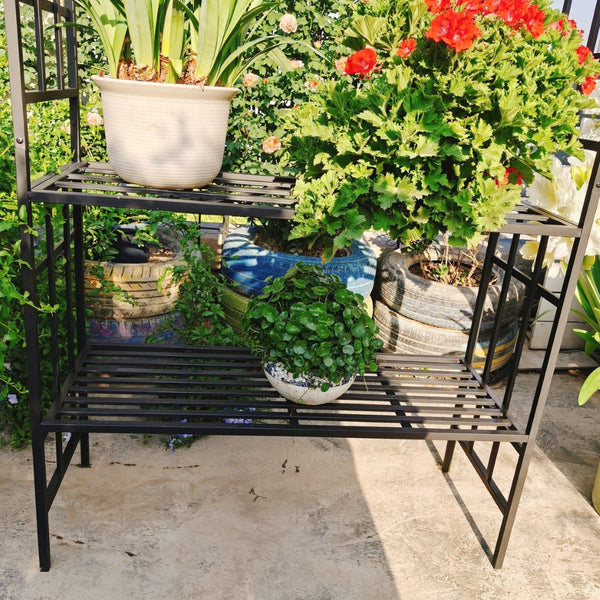 English Elm Metal Garden Arch Bench with Trellis Grid for Climbing Roses and Outdoor Spaces W1586P278441