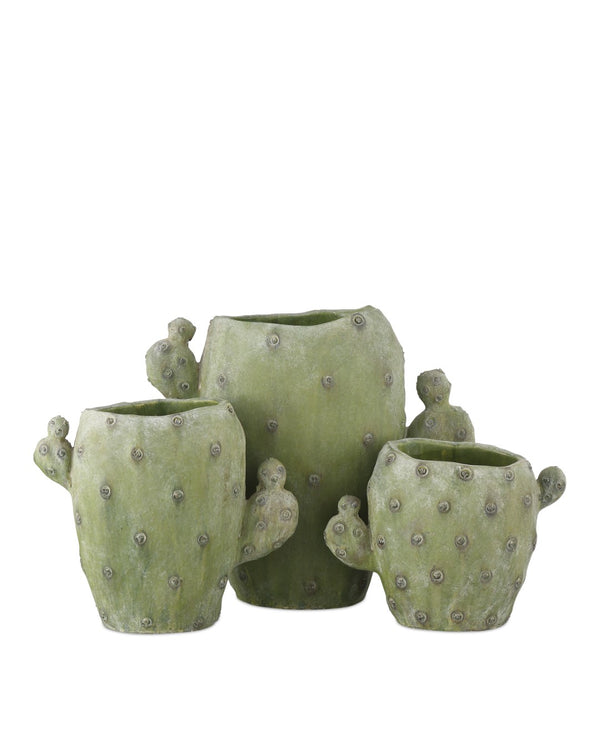 Cactus Vase - Set of 3