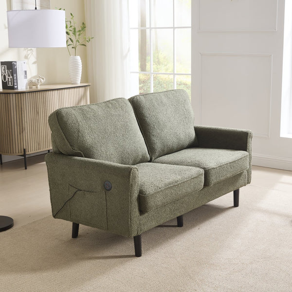 English Elm Loveseat Modern Mid-Century 2-Seater with USB Type-C Charging, Removable Zippered Covers, Sturdy Wood Legs Green W395P238825