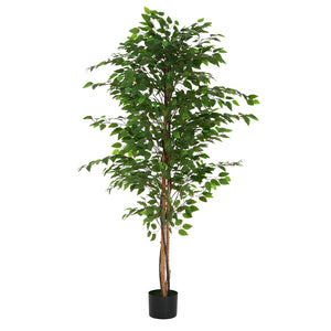English Elm Christopher Knight Home® - 74" Artificial Ficus Tree with Twisted Trunk, Lush Glossy Leaves, Pre-Potted Green Décor, Low-Maintenance N772P286772G