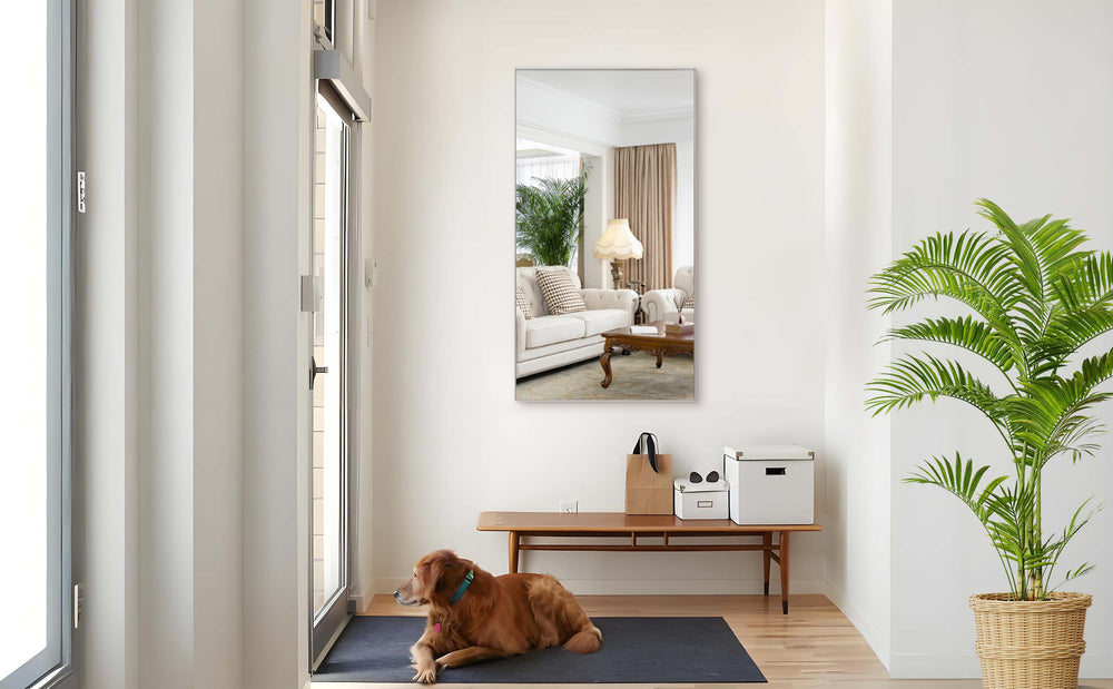 English Elm 55"x30" Oversized Modern Bathroom Mirror with Removable Tray Silver Aluminum Frame for Vertical or Horizontal Mounting W708P297404