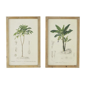 English Elm S/2 Framed Tree Prints Pair 15.5x23.5" – Botanical Wall Art Set with Brown Frames, Green & Earth Tones, Transitional Decor for Living or Dining Room (Pair) W2078P205296
