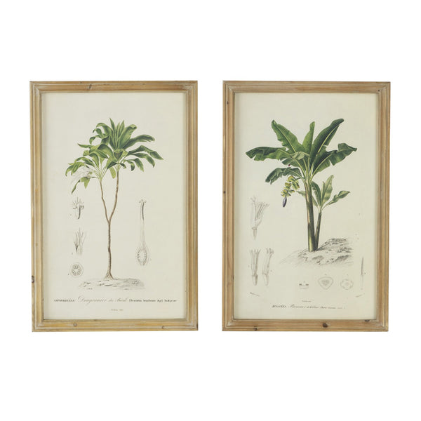 English Elm S/2 Framed Tree Prints Pair 15.5x23.5" – Botanical Wall Art Set with Brown Frames, Green & Earth Tones, Transitional Decor for Living or Dining Room (Pair) W2078P205296
