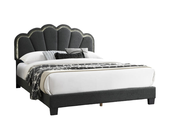 English Elm Full Platform Bed Charcoal Wool Upholstery Floral Scalloped Headboard with Led Lighting B011P417509