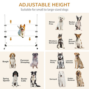 English Elm Dog Agility Jump Set of 4 Adjustable Bar Obstacles with Carrying Bag for Training T3971P384789