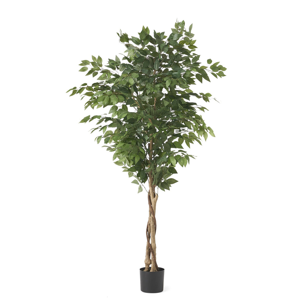 English Elm Christopher Knight Home® - 180CM Artificial Ficus Tree with Glossy Leaves & Twisted Trunk, Pre-Potted Green Décor for Home (90) 70517.00
