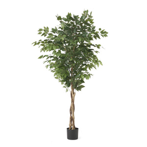 English Elm Christopher Knight Home® - 180CM Artificial Ficus Tree with Glossy Leaves & Twisted Trunk, Pre-Potted Green Décor for Home (90) 70517.00