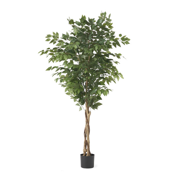 English Elm Christopher Knight Home® - 180CM Artificial Ficus Tree with Glossy Leaves & Twisted Trunk, Pre-Potted Green Décor for Home (90) 70517.00