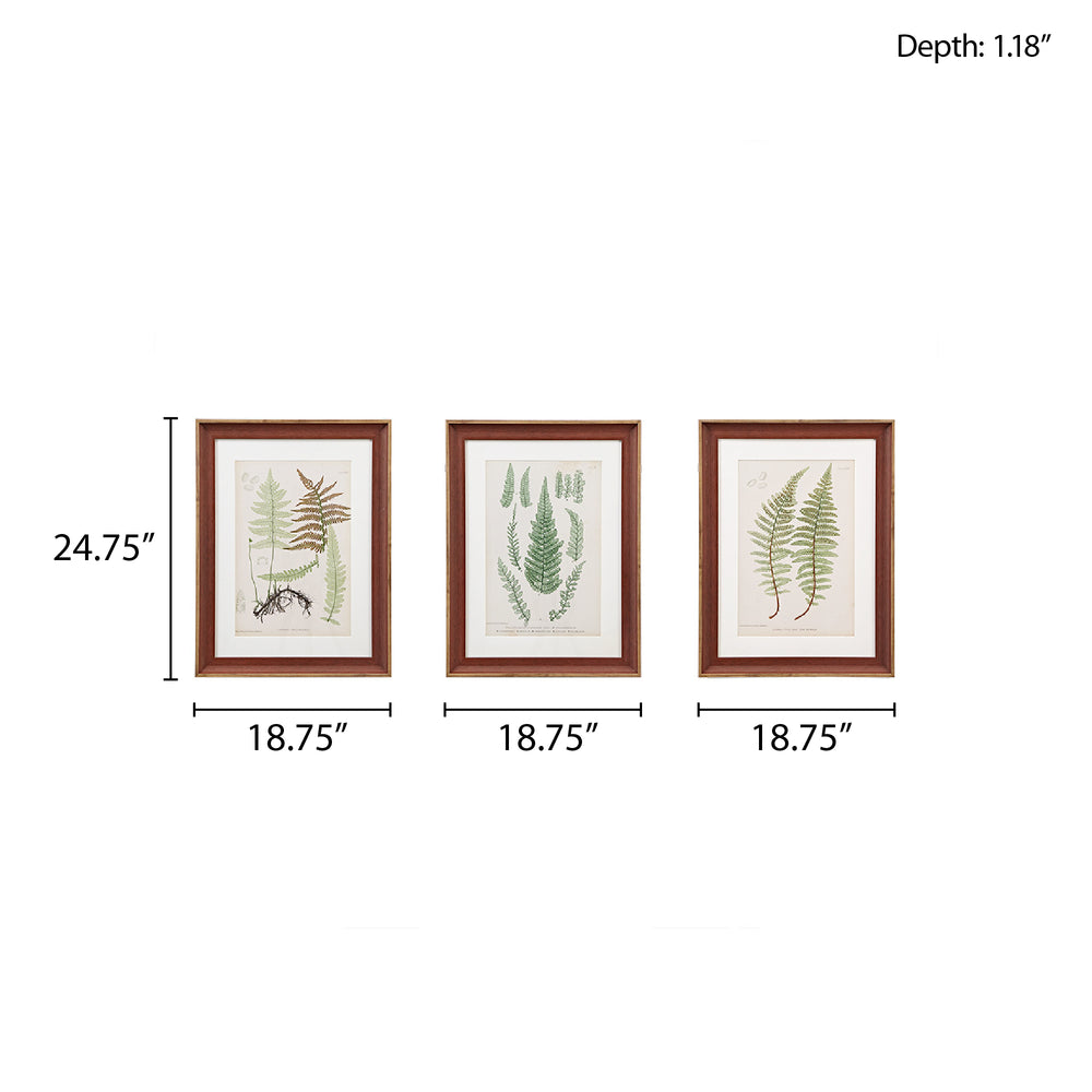 JLA Home Madison Park - Botanical 3-Piece Framed Fern Art Set with Glass & Single Mat — Cottage Gallery Wall Decor, 18.75x24.75 MT95G-0003