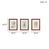 Martha Stewart Lady Fern Collection Transitional Botanical Illustration 3-piece Framed Glass and Single Matted Wall Art Set MT95G-0003 Green