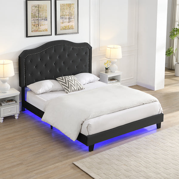 English Elm Upholstered Diamond Button Tufted Platform Bed with Velvet, LED Ambient Lighting, Sturdy Slats Black 65.75 L x 34.43 W x 4.72 H W2297P268385