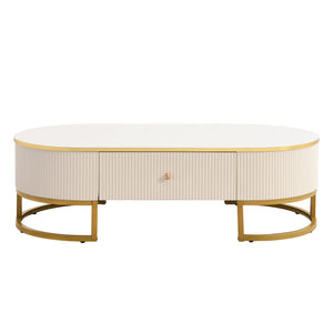 English Elm Modern Oval Coffee Table with Drawers and Gold Base, High-Gloss White Finish, Durable 47.2" Centerpiece N735P192897K