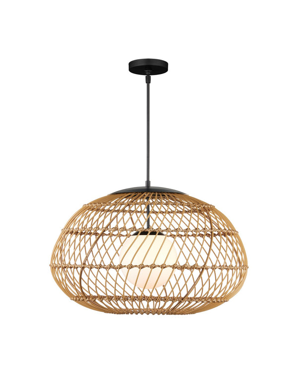 Currey & Company Carriage Outdoor Pendant Light - Durable Wicker Shade, Adjustable Height, Stylish & Weather-resistant Design Natural All,Weather Wicker ,Metal ,Glass 9500-0015-currey-company