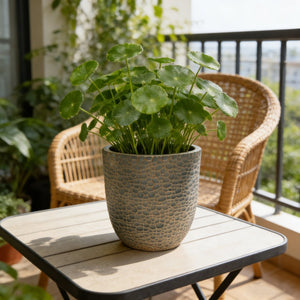 English Elm Large Concrete Style Magnesium Oxide Round Planters Set for Patio and Indoor Decor W5212P434242