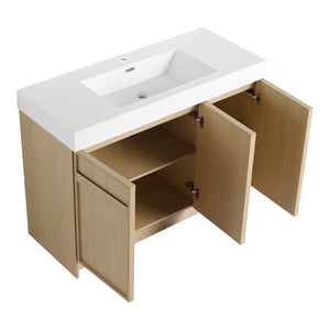 English Elm 48" Freestanding Bathroom Vanity with Thick Resin Sink, Soft-Close Doors, Adjustable Shelves, Durable Finish Oak W999S00265