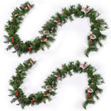 Christopher Knight Home® - Noble House - - 2-Packed 9'X10'' Mixed Frosted Garland With 20 Pine Cones And 10 Red Berry With 50 Warm White Led Lights With Timer-Battery Operated-Outdoor, 200 Tips