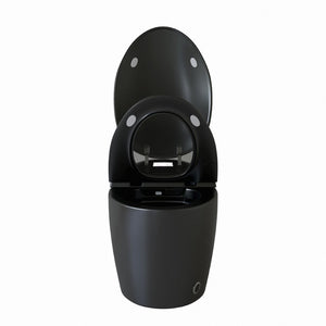English Elm Unique Smart Toilet with Built in Bidet Auto Lid Foot Sensor and Warm Air Dryer W3133P384976