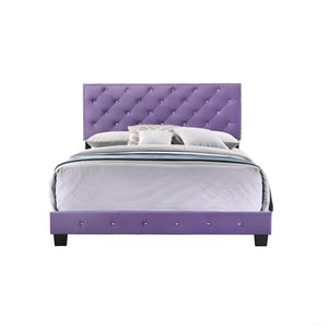 English Elm Enchanting Purple Velvet Queen Bed with 48"H Headboard, Transitional Style, Sturdy Support & Assembly Required B078108006