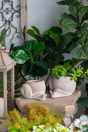 English Elm 8.3x7x4.7" Textured Sand & Cement Snail Planter — Abstract Spiral Shell Accent for Succulents, Herbs W2078P334753