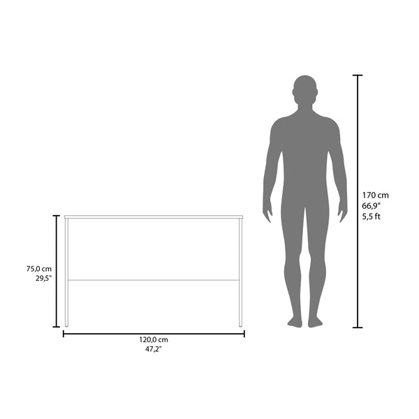 English Elm Roseland Beige Engineered Wood Desk for Small Spaces — Wide Minimalist Desktop, Durable Quality Build, Compact Workstation (52.8"x26") B092P269941