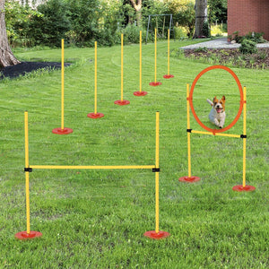 English Elm Pawhut Dog Agility Obstacle Set with Hoop Hurdle and Weave Poles Portable Kit W2225P200740