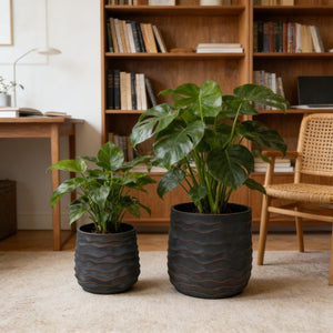English Elm Large Concrete Texture Magnesium Oxide Round Planters Duo Indoor Outdoor Patio W5212P434275