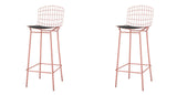 Manhattan Comfort Madeline Modern Barstool, Set of 2 Rose Pink Gold and Black 2-198AMC5