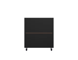 Manhattan Comfort Eiffel Modern Mobile Garage Cabinets - Set of 2 Matte Black 2-252BMC8