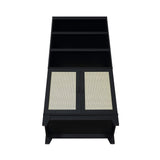 Manhattan Comfort Sheridan Mid-Century Modern Bookcase Cabinet - Set of 2 Black 2-BC-6GLF-BK