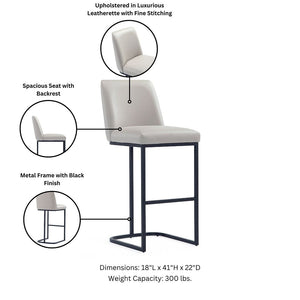 Serena Barstool in Light Grey - Set of 2 2-BS020-LG Manhattan Comfort