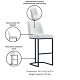 Serena Barstool in White - Set of 2 2-BS020-WH Manhattan Comfort