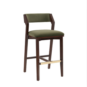 Manhattan Comfort Patricia Velvet Barstool Set Of 2 - Luxurious Comfort With Beech Wood Legs & Glamorous Gold Footrest Turtle Green Beech Wood 2-bs026-gr