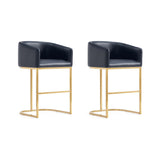 Louvre Bar/Counter Stool - Set of 2