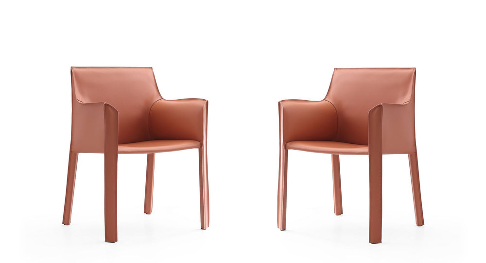 Manhattan Comfort Vogue Modern Dining Chair (Set of 2) Clay 2-DC033-CY