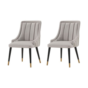 Manhattan Comfort Eda Modern Dining Chair- Set of 2 Grey 2-DC073-GY