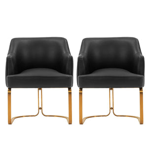 Manhattan Comfort Edra Modern Dining Armchair - Set of 2 Black 2-DC078-BK