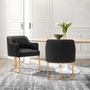 Manhattan Comfort Edra Modern Dining Armchair - Set of 2 Black 2-DC078-BK