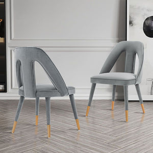 Manhattan Comfort Neda Modern Dining Chair- Set of 2 Grey 2-DC081-GY
