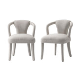 Palmer Dining Armchair in Silver Lining - Set of 2 2-DC088AR-SL Manhattan Comfort