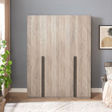 Lee 2-Piece Module Wardrobe 1.0 & 2.0 Closet in Rustic Grey 2-WC0012-GY Manhattan Comfort