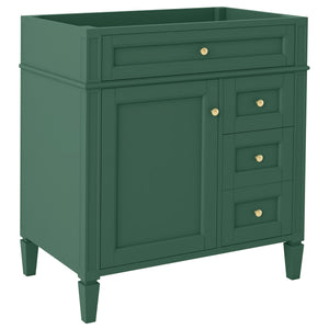 English Elm 30'' Modern Bathroom Vanity Cabinet With 2 Drawers, Tip-Out Storage & Adjustable Shelf – No Basin N710P250685F